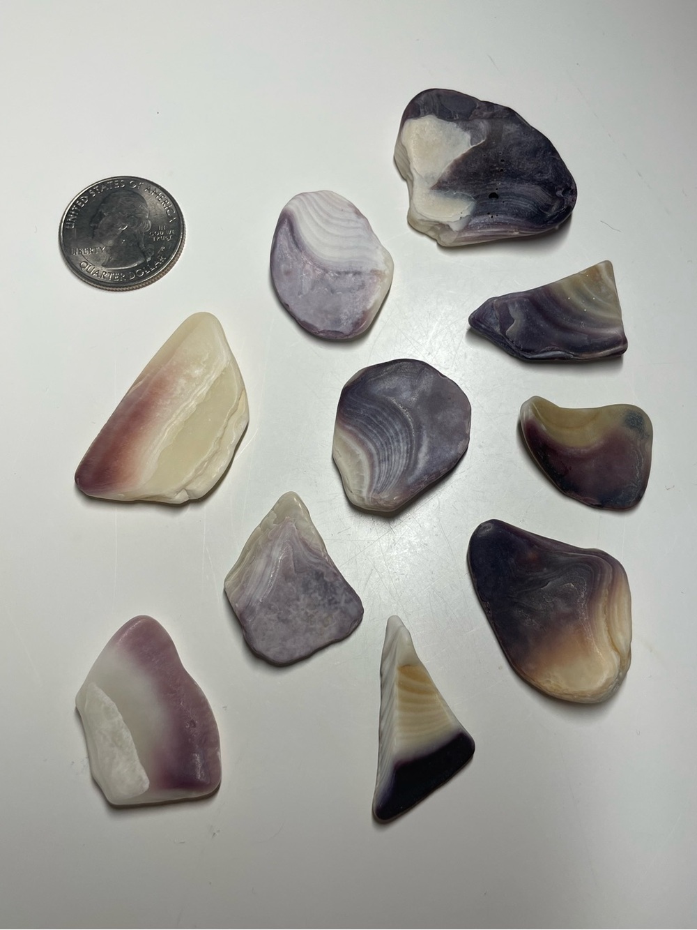 Beautiful Naturally Ocean Tumbled Wampum Shell Pieces Purple lot of 10